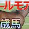 日本の種牡馬も参戦！クールモアの2歳馬ラインナップが話題沸騰。