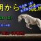 【競馬】生配信！！　Horse Racing Commentary　as huge as a horse’s ！（新潟、京都、東京）